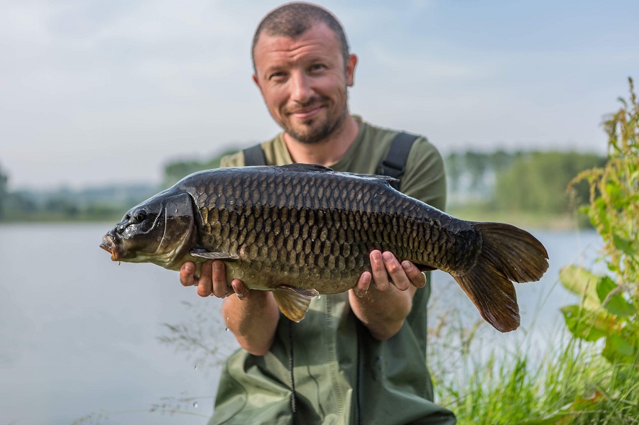 Mid-double common