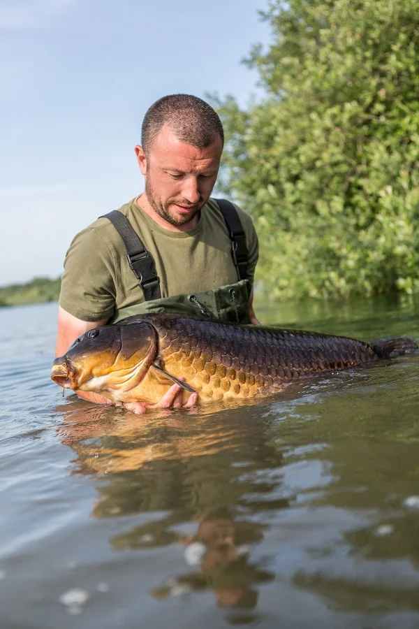 A beautiful fish, beautifully captured by Ben Hesketh