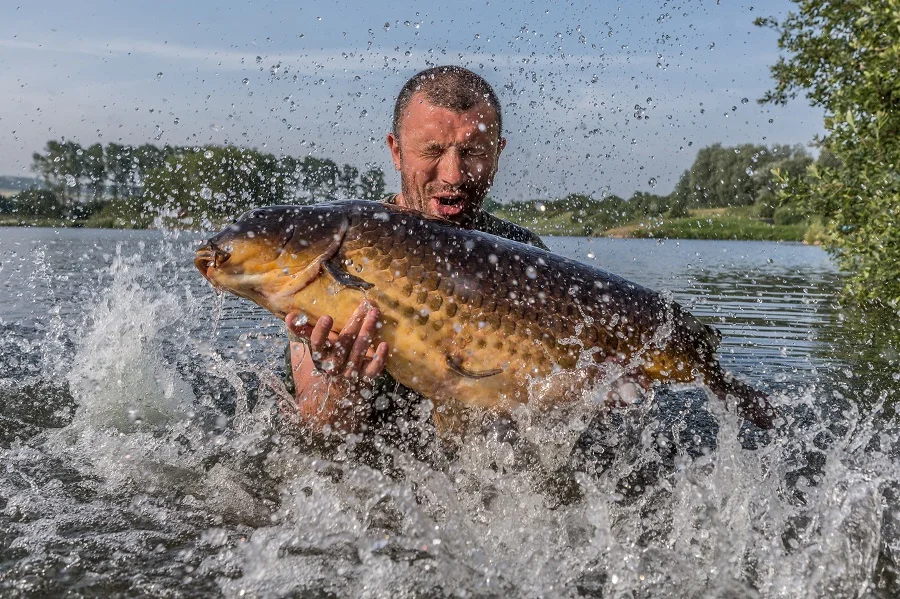 A soaking from a bucket of water completes the pb treatment