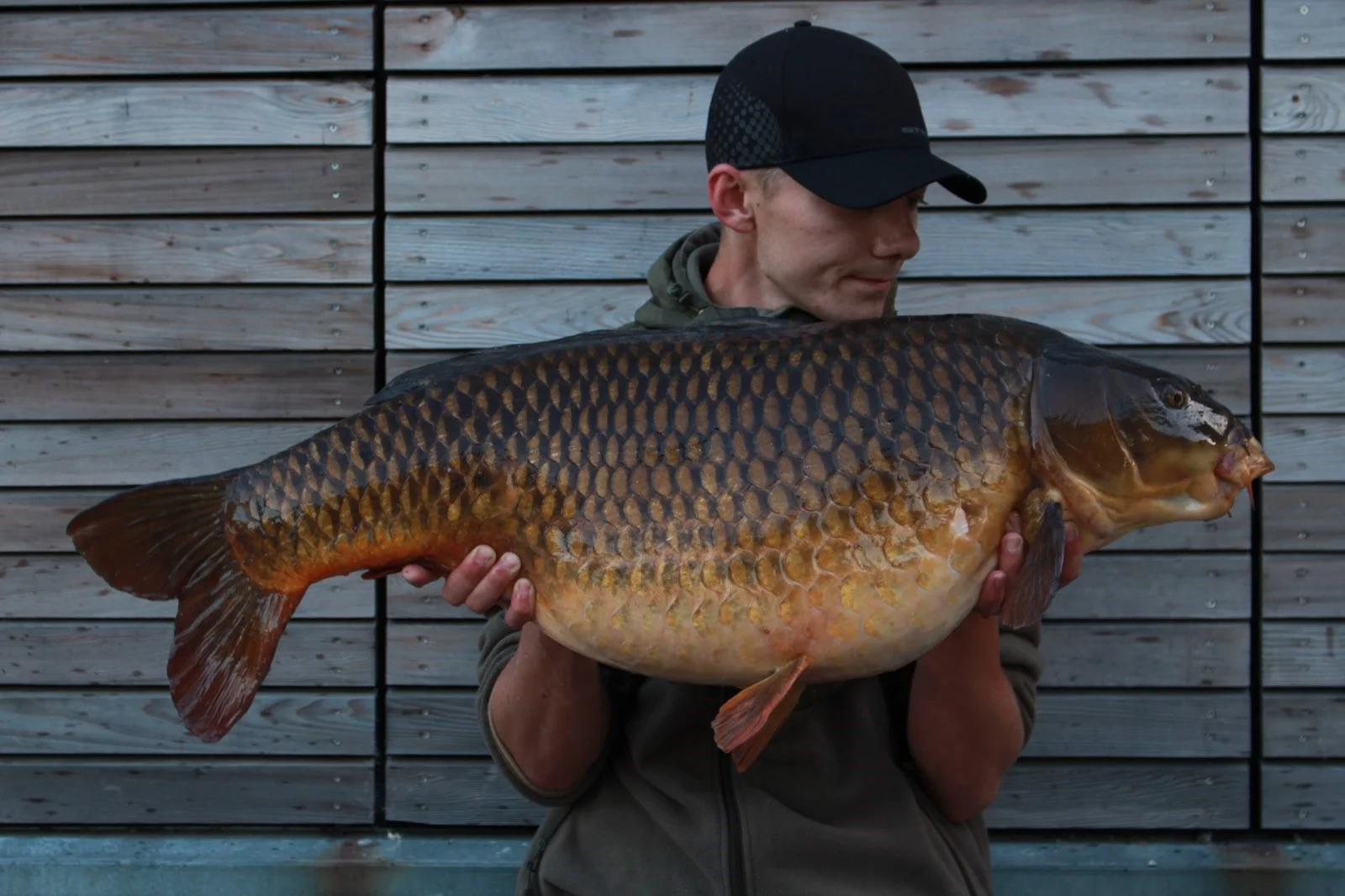 Danny's 37lb Farlows common