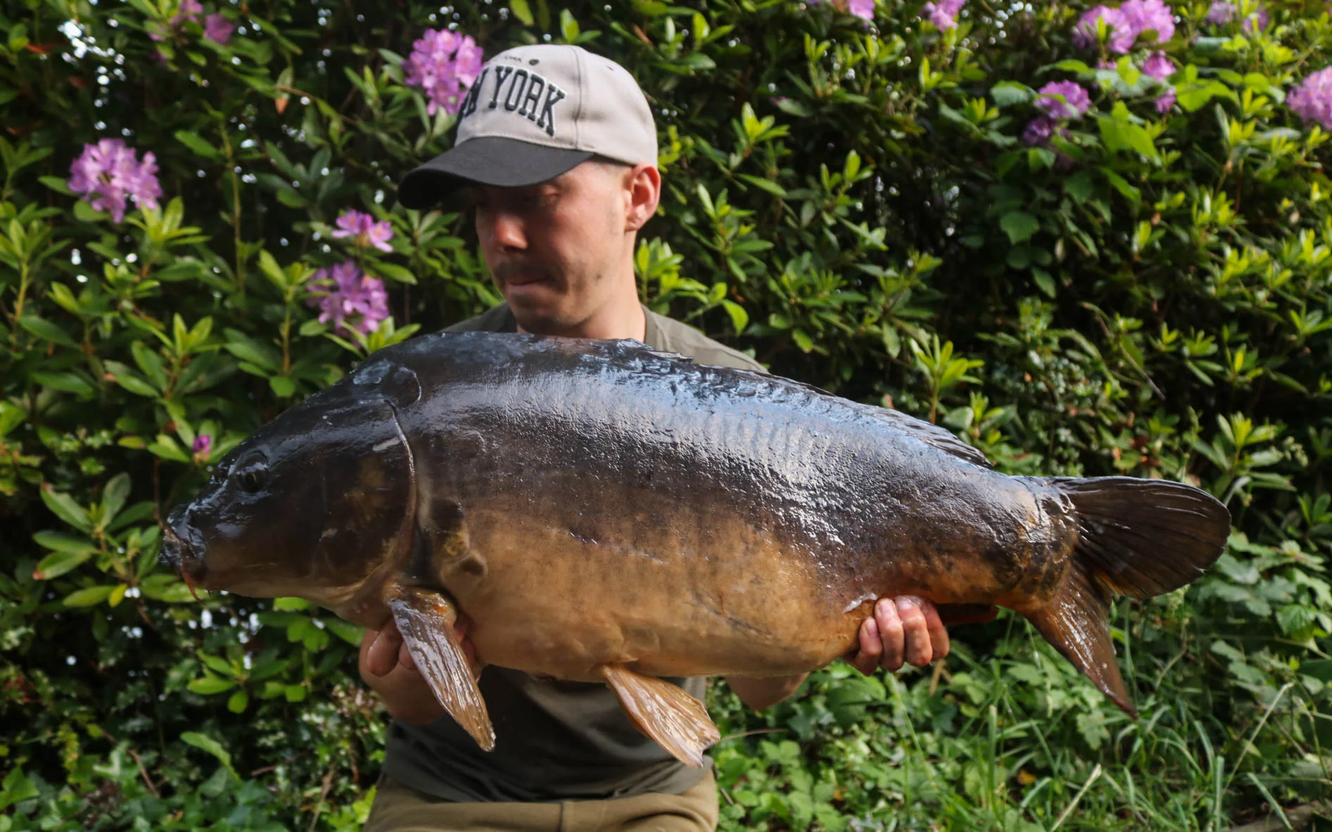 Another canal bruiser - this one went 28lb 12oz