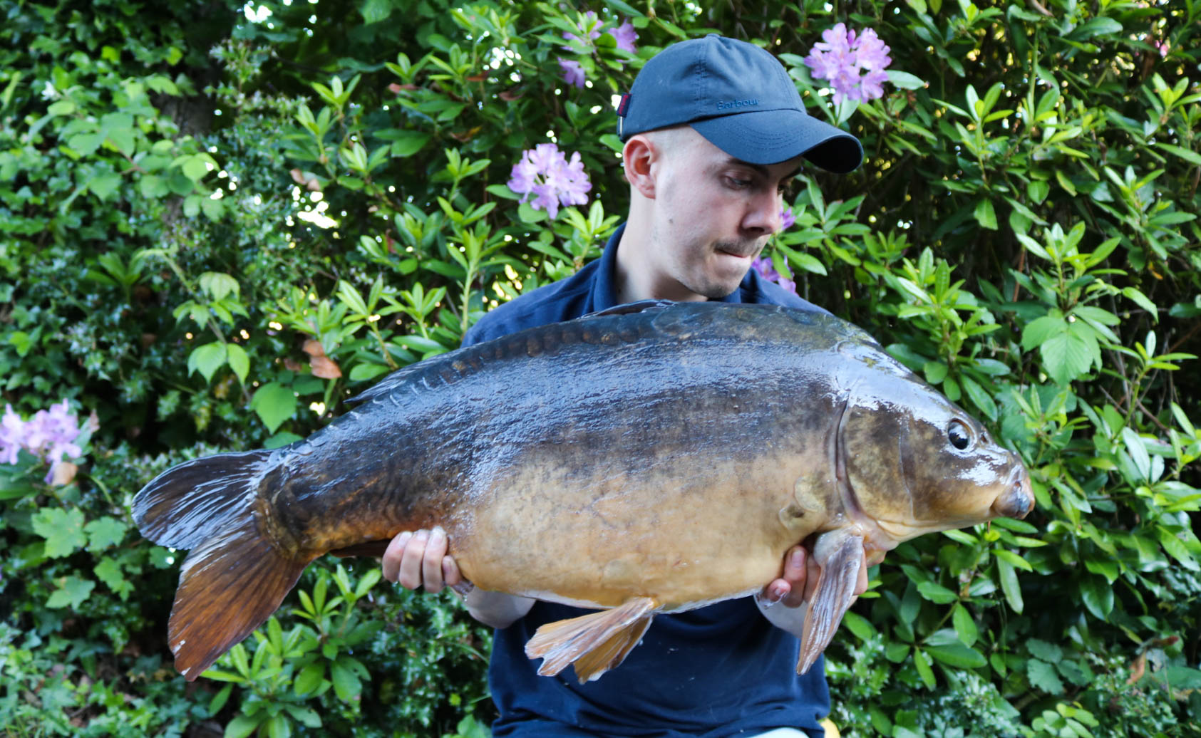 This leathery fish was an upper 20