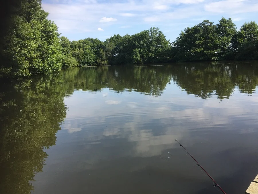 Carp heaven?