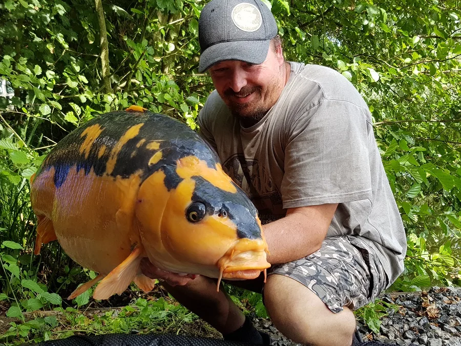 The incredible fish's black markings have changed during its life