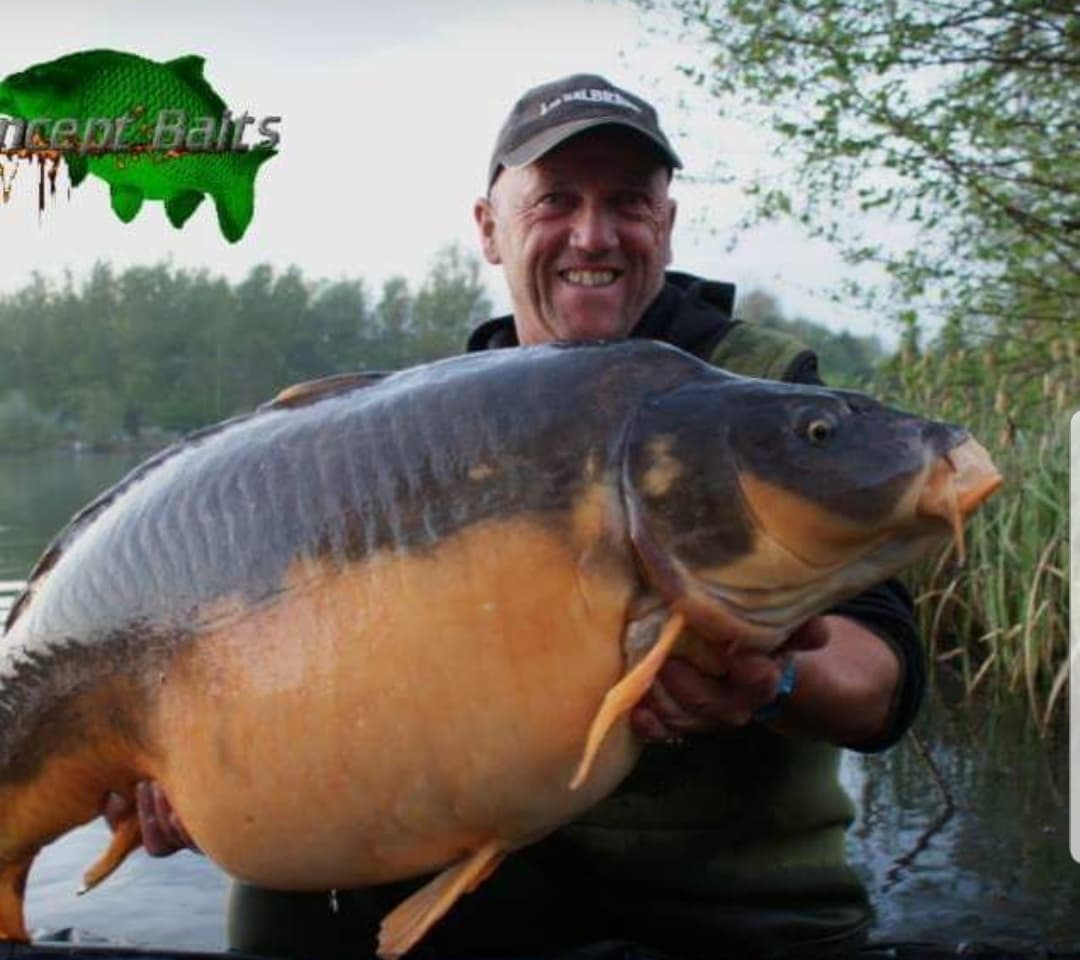 This earlier photo of the fish shows more black pigmentation