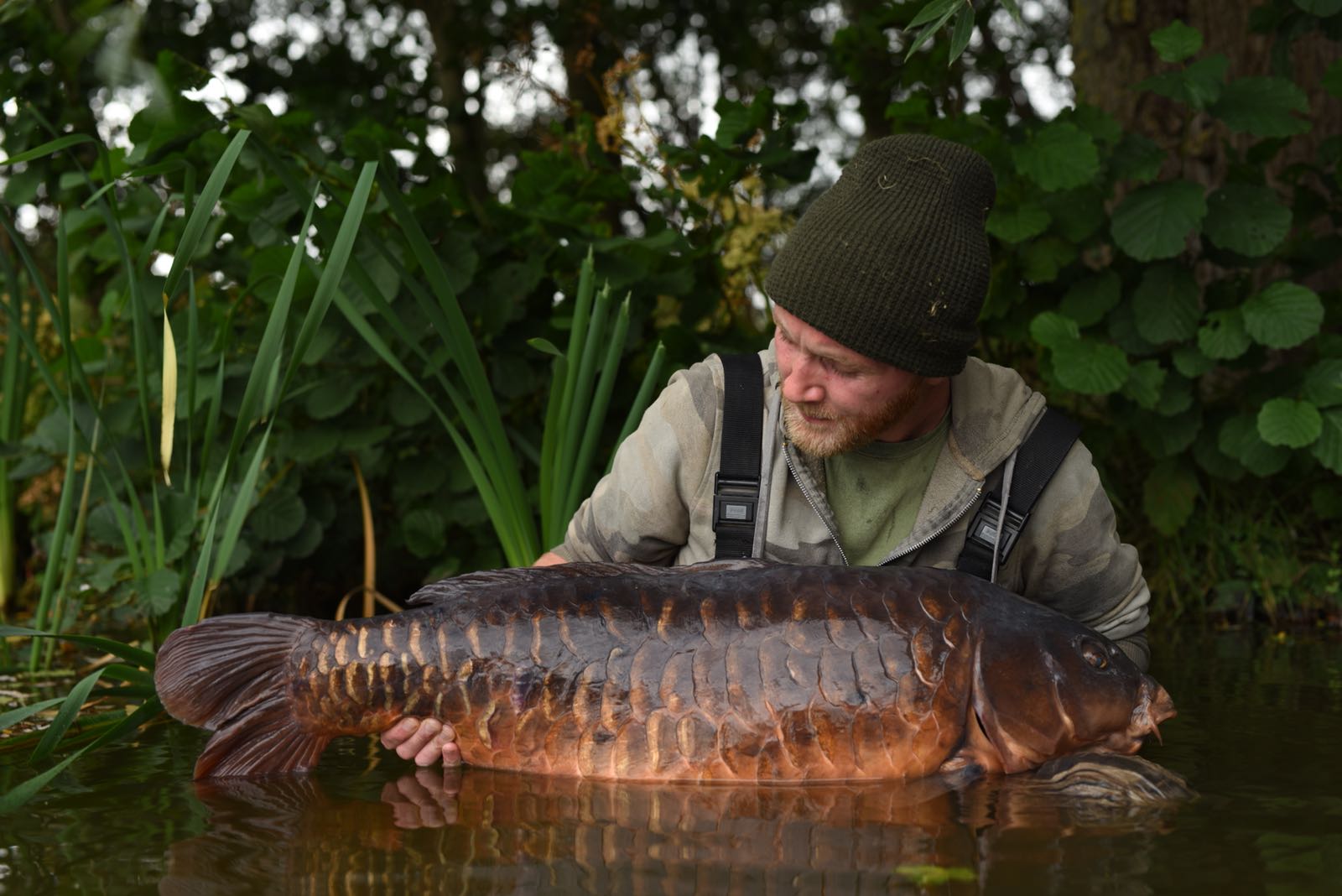 A magnificent shot of an equally impressive fish