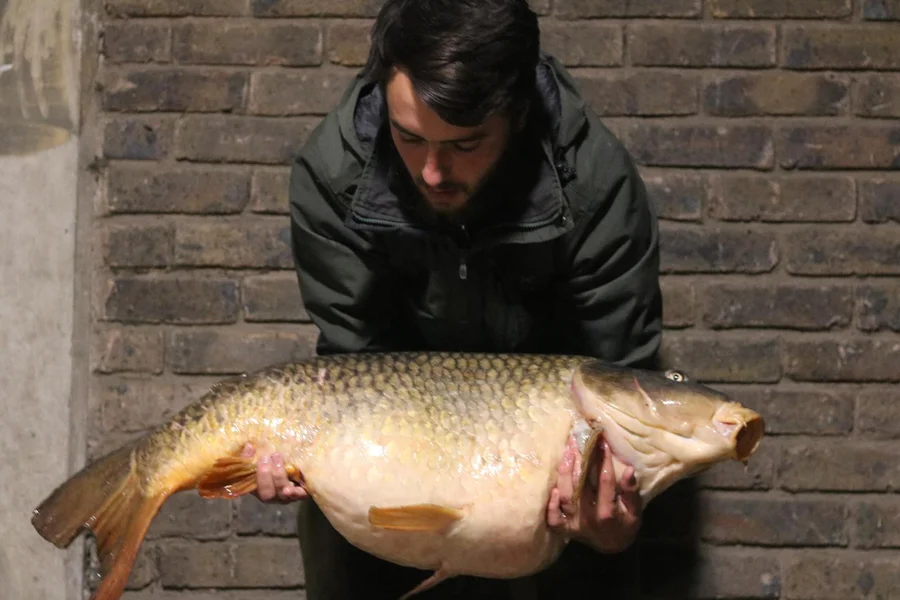 Its size is certainly apparent in this shot