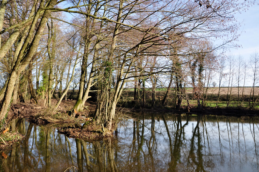 The pool is now about a third bigger (by water volume) thanks to de-silting