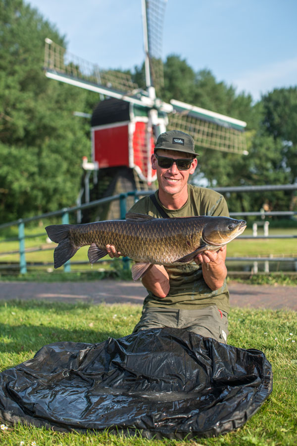A grass carp reward