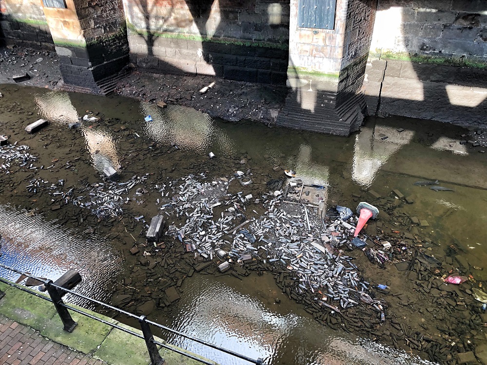 Can you spot the fish? They’re in the top right of the pic