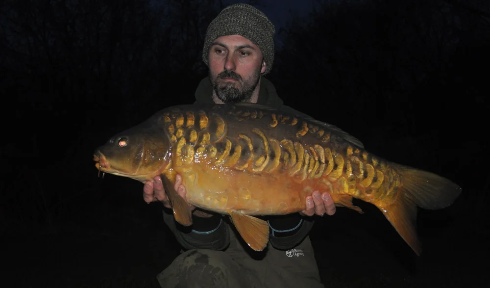 A lovely scaly one for Damien
