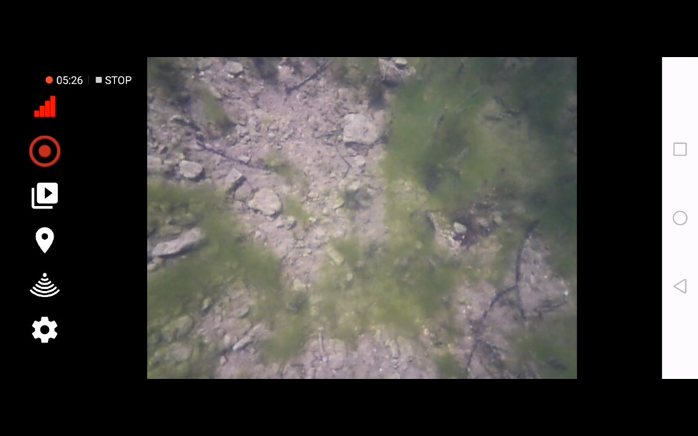 Camera view