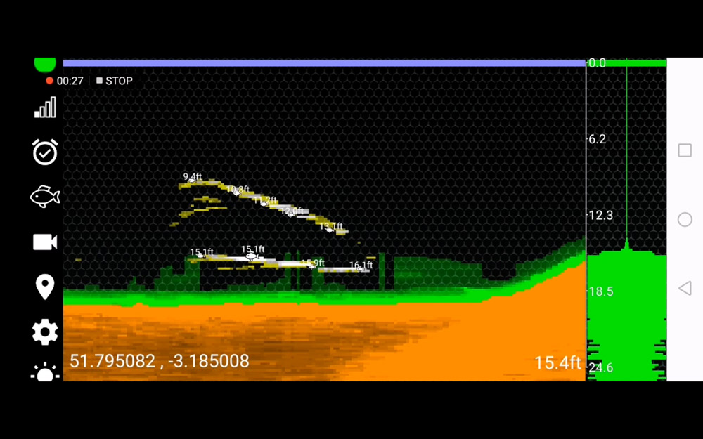 Sonar view