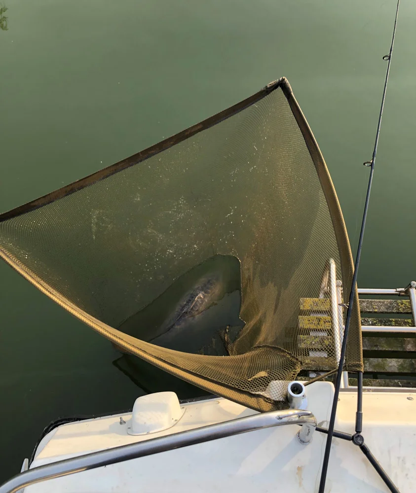 Mike’s mirror safely in the net