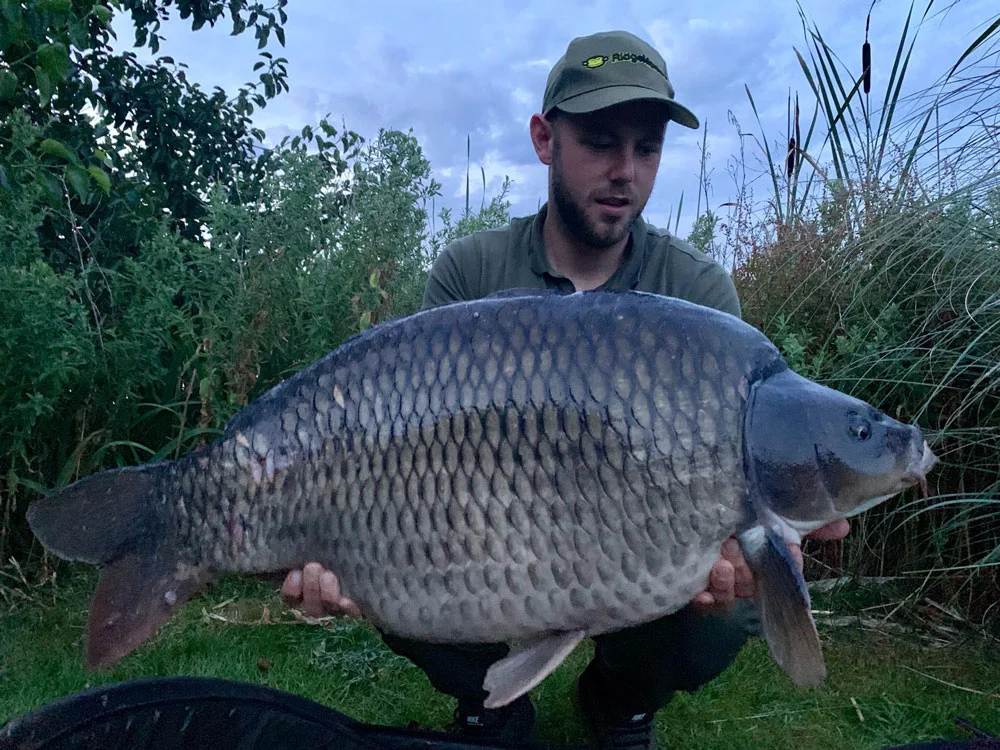 …then Houdini at 42lb