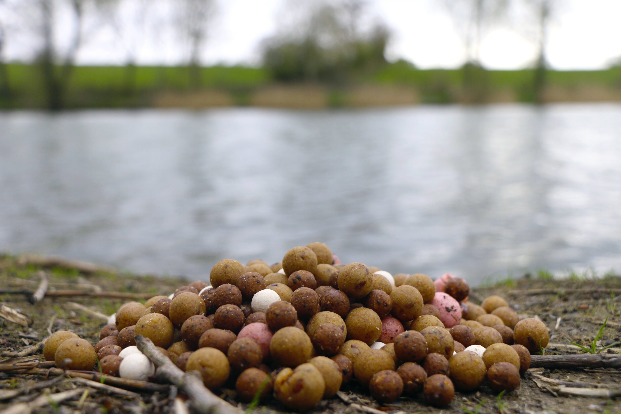 nemen Nationaal volkslied Fruitig How to pick the right boilie for carp fishing — Carpfeed