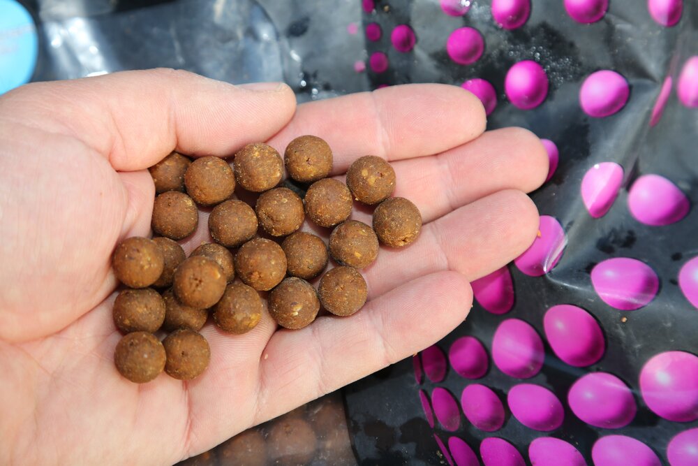 professioneel genade stereo How to pick the right boilie for carp fishing — Carpfeed