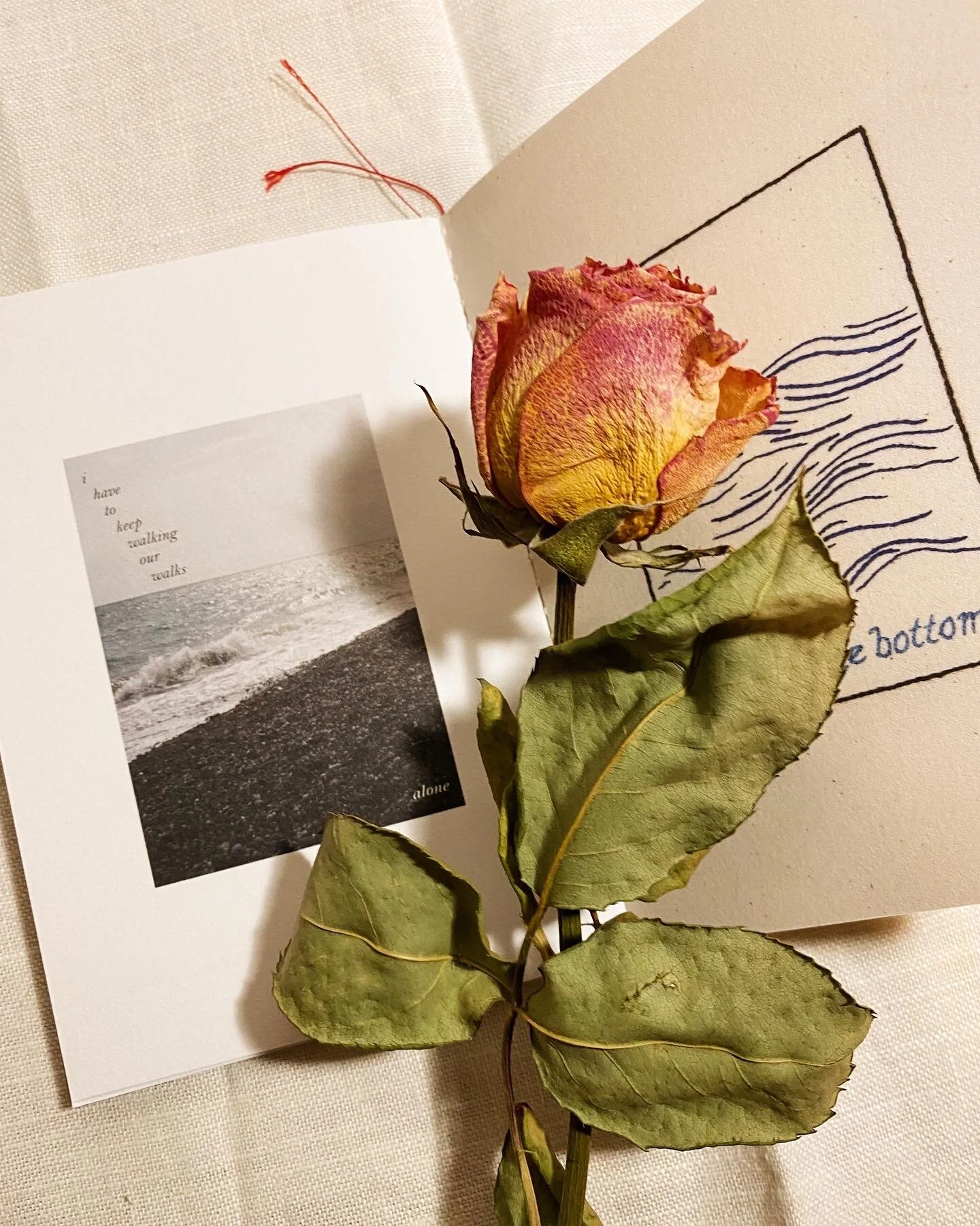 71D6D7A6-D0EC-4ADD-8BED-2C120BF700D9