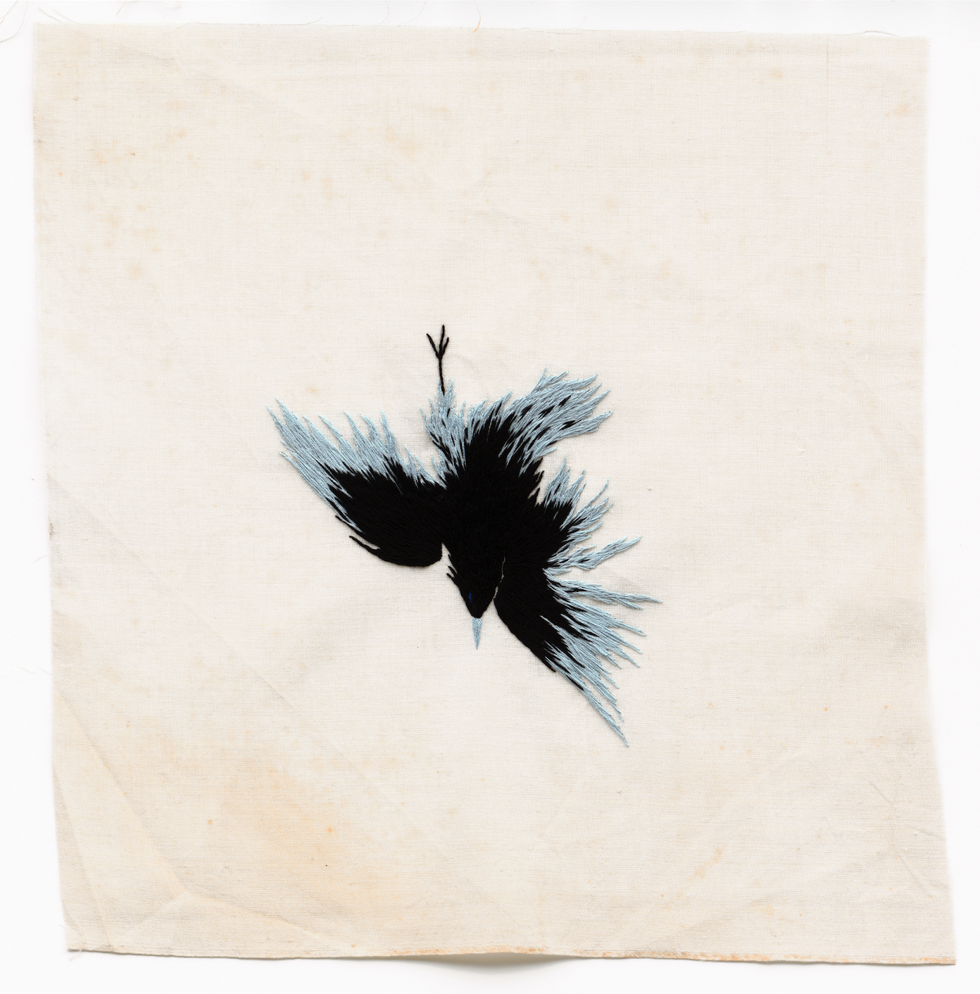 Screenshot 2026-01-27 at 11.18.49.png