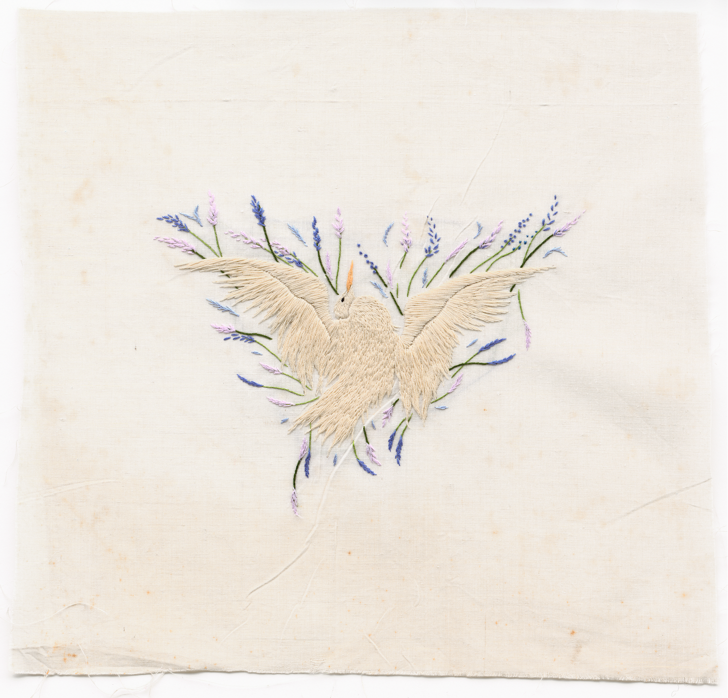 Screenshot 2026-01-27 at 11.19.19.png