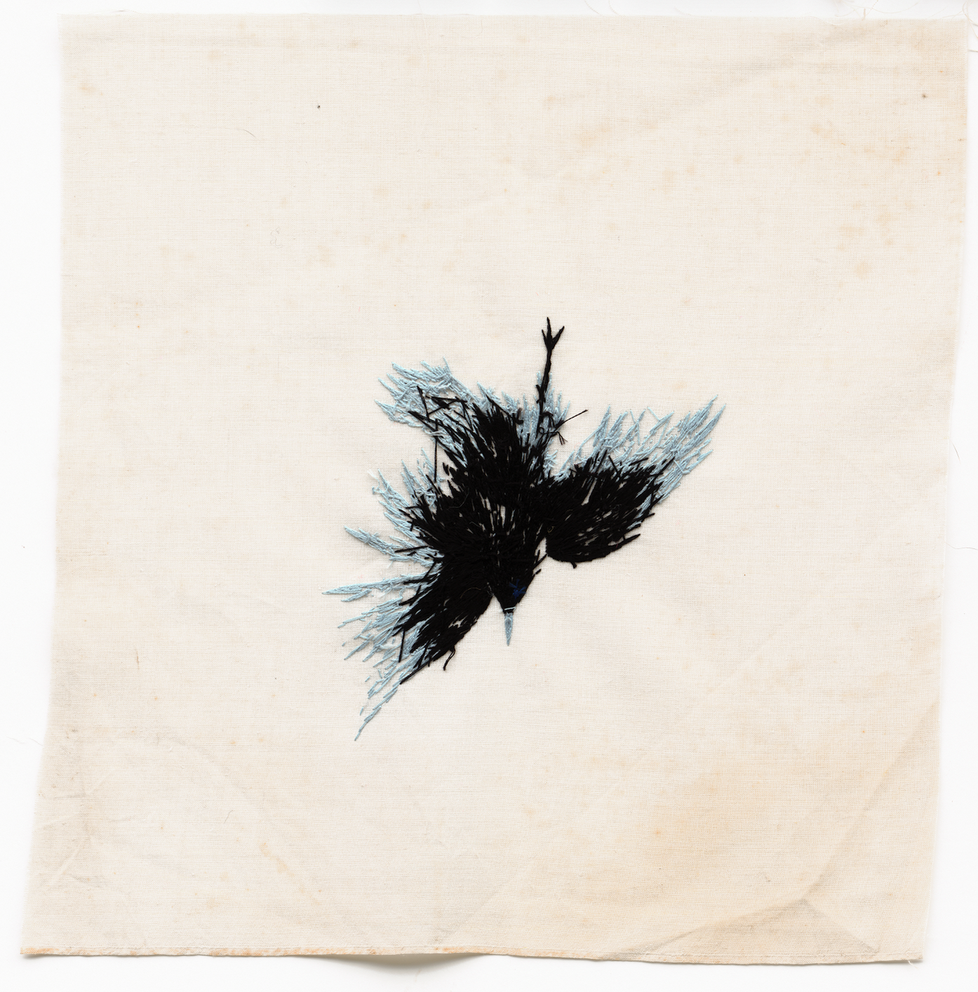 Screenshot 2026-01-27 at 11.19.54.png