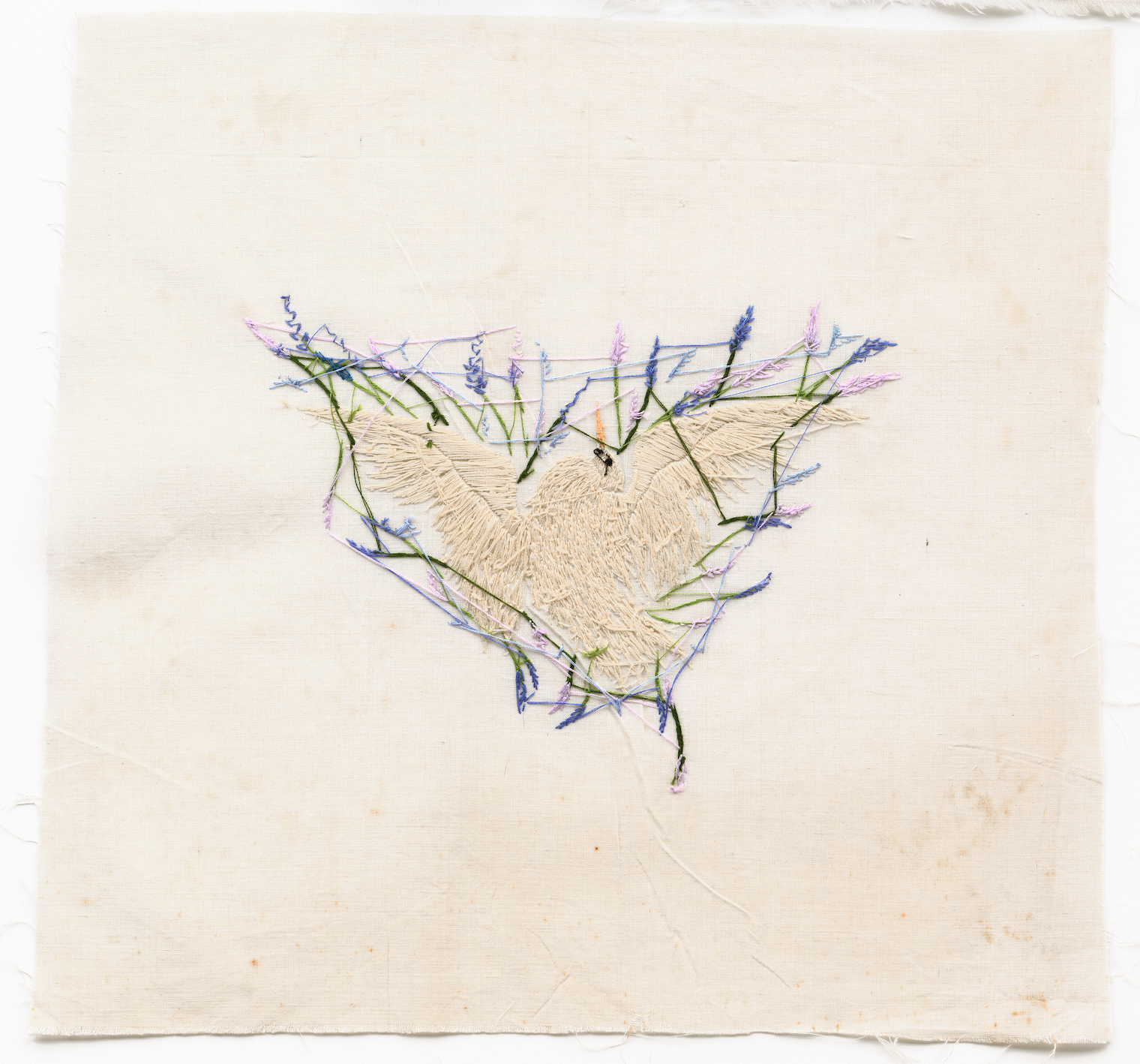 Screenshot 2026-01-27 at 11.20.28.png