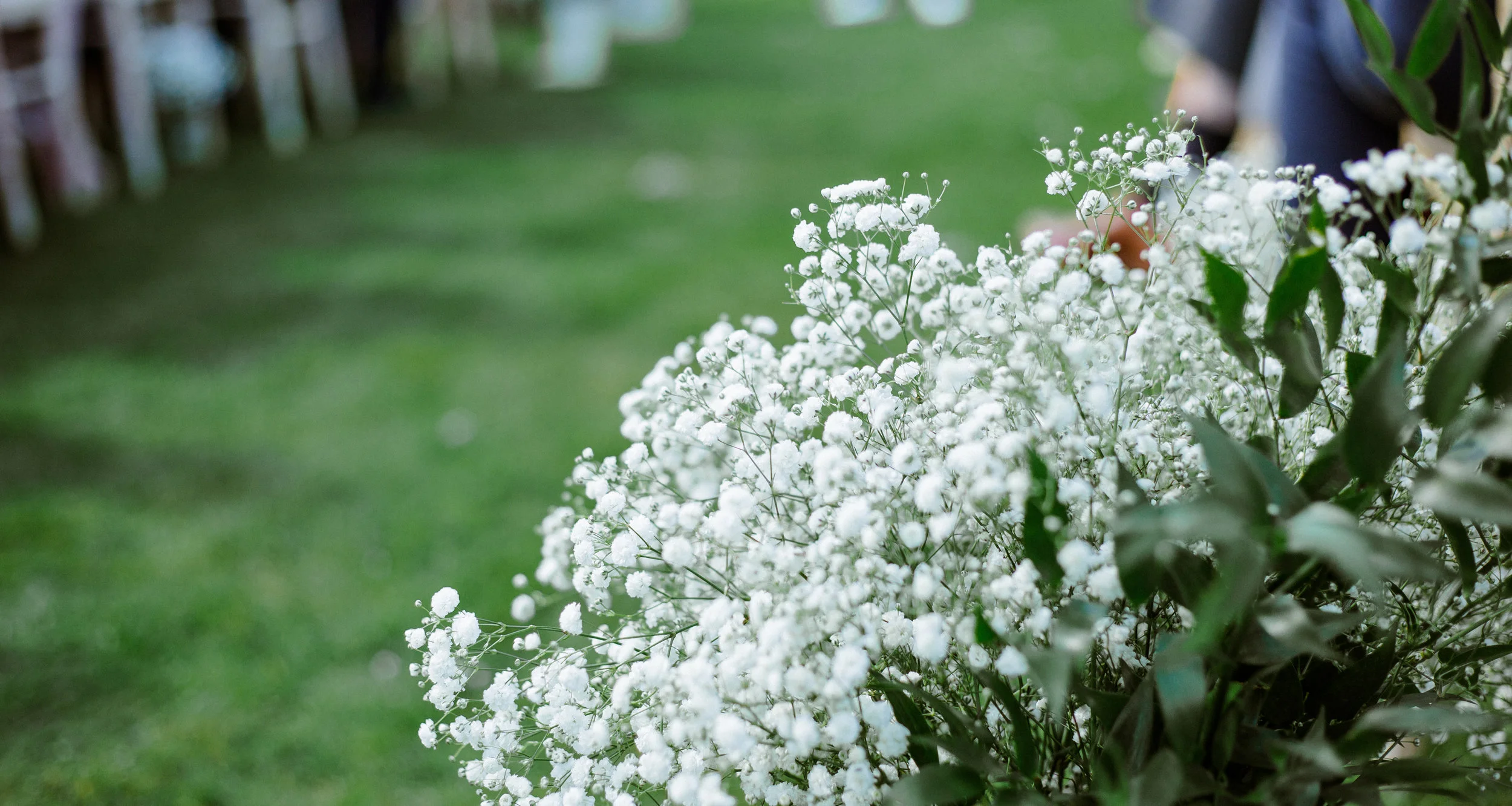 flowers.jpg