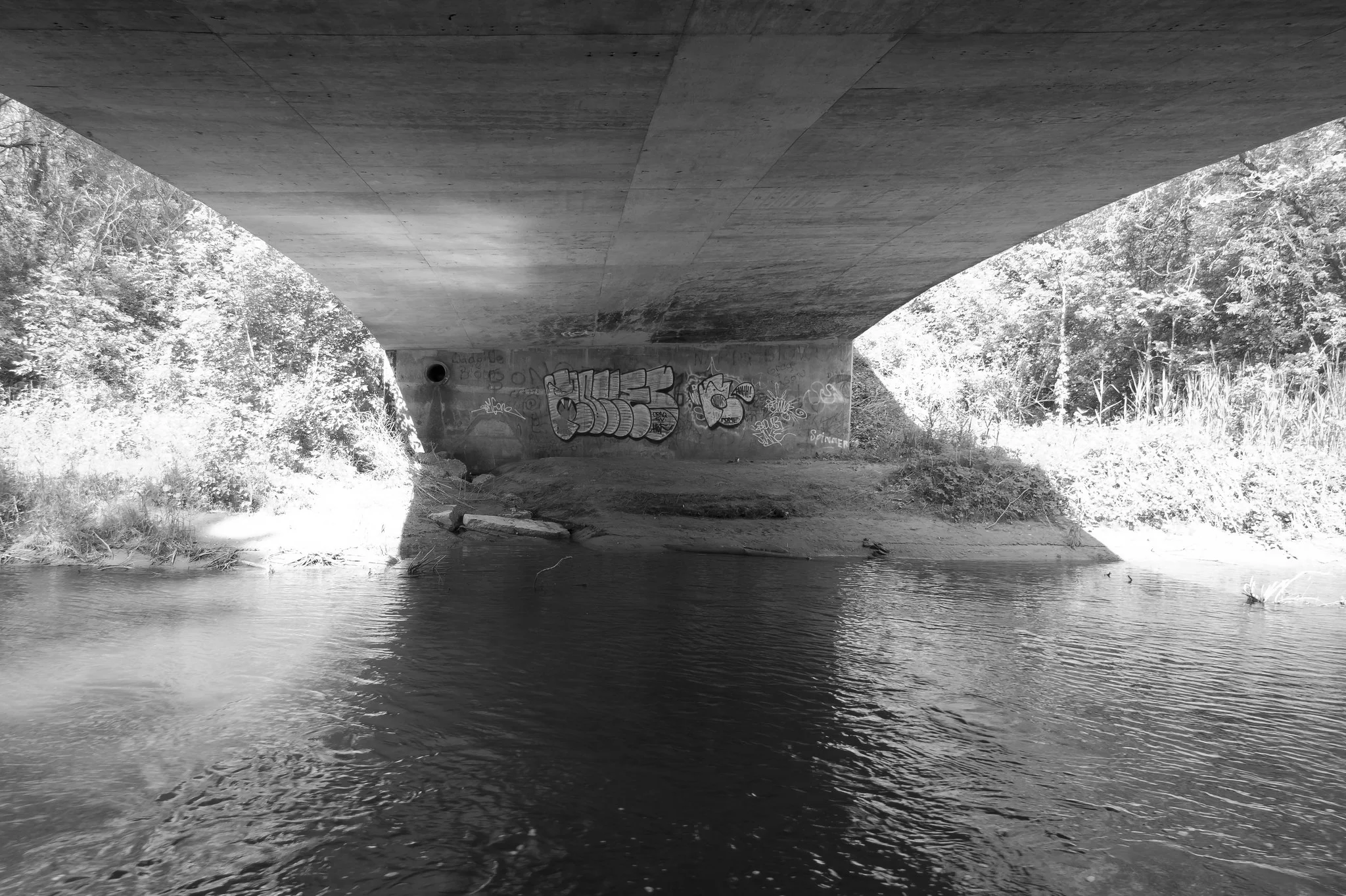 Bridge.jpg