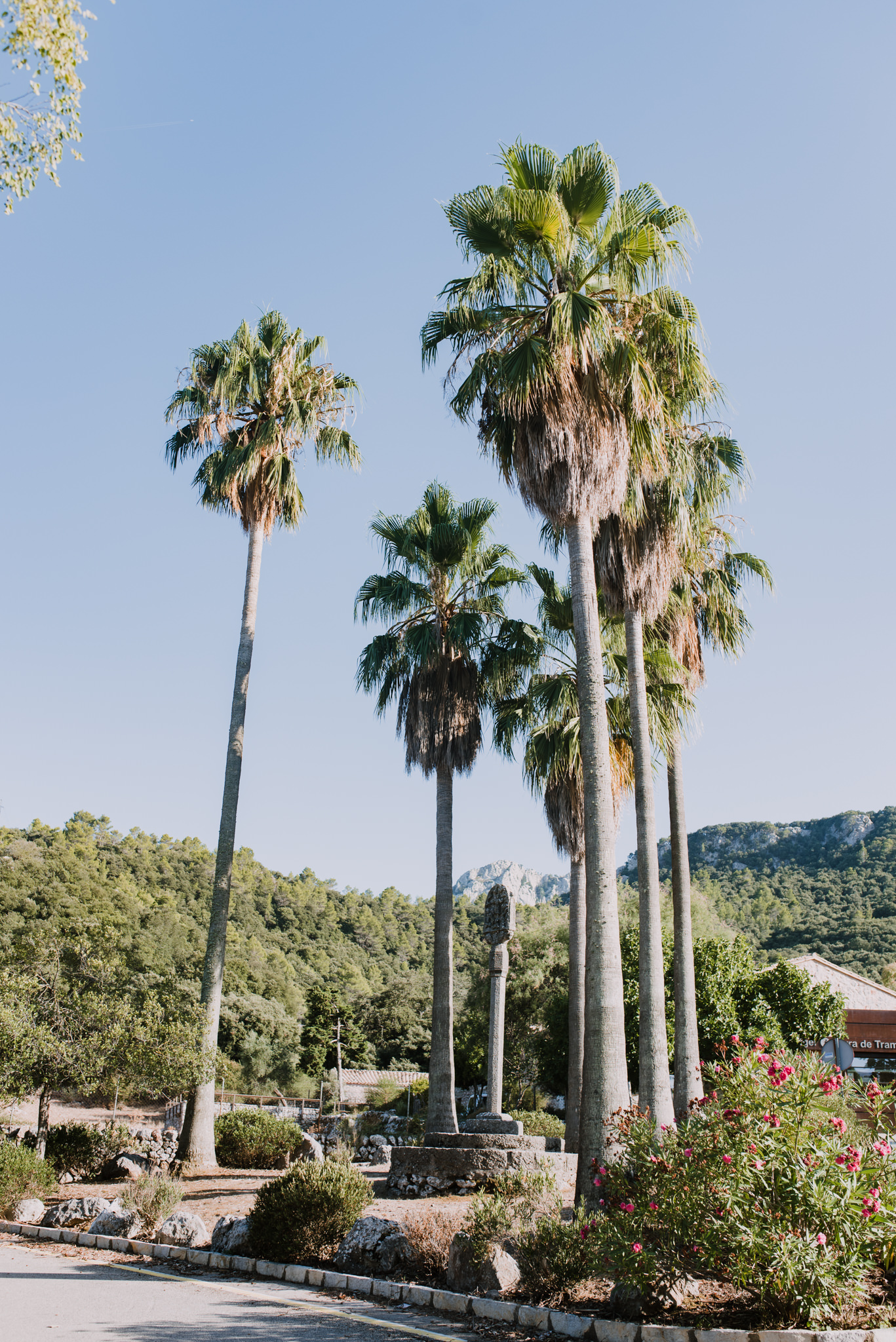 mallorca wedding photographer uk79.jpg