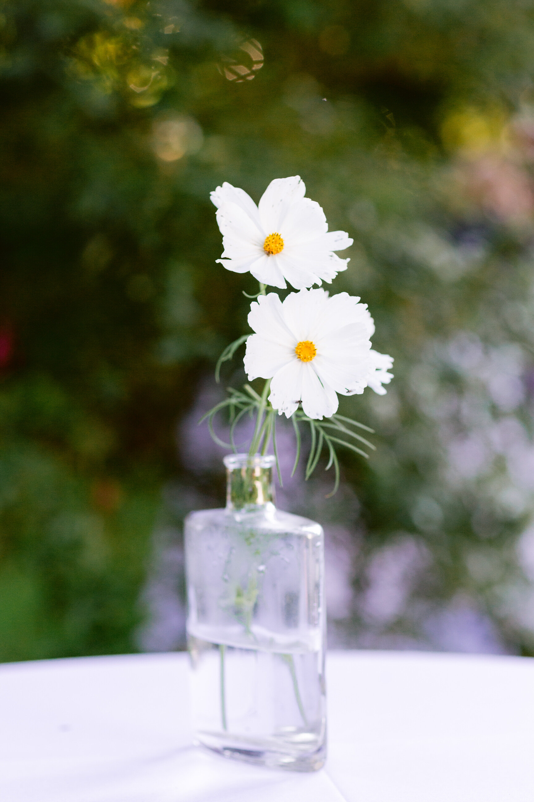 ireland wedding photographer, summer garden wedding, relaxed outdoor wedding in northern ireland (42).jpg