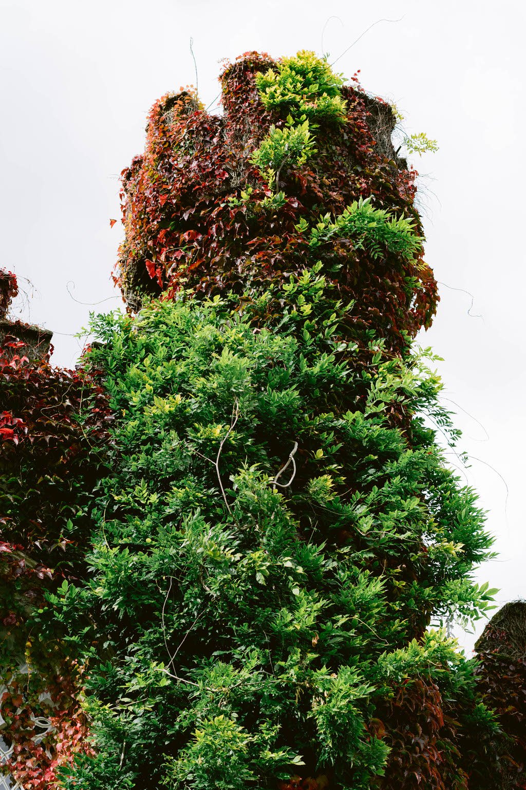 Luttrellstown Castle wedding, Irish castle wedding venue interior (9).jpg