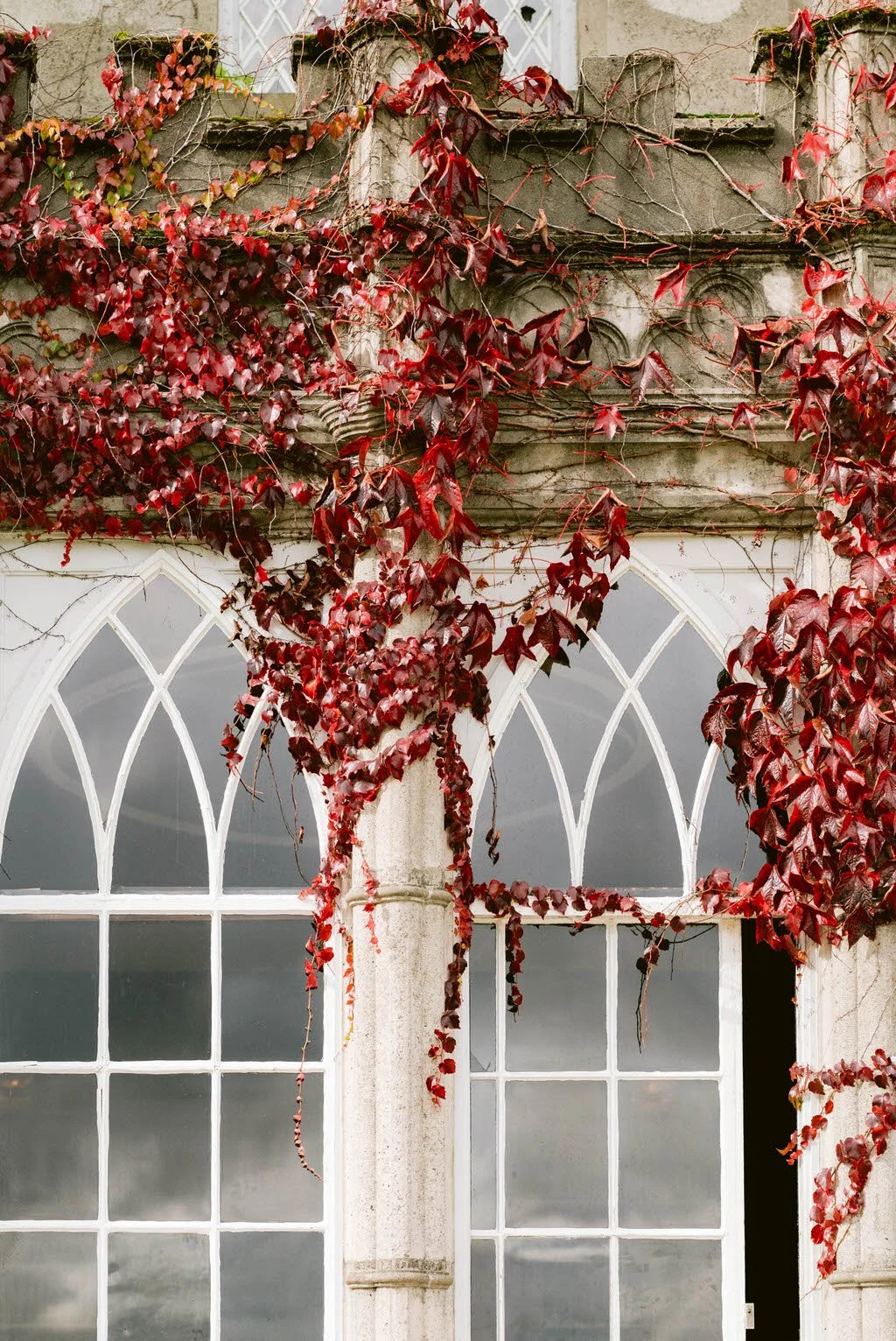 Luttrellstown Castle wedding, Irish castle wedding venue interior (11).jpg