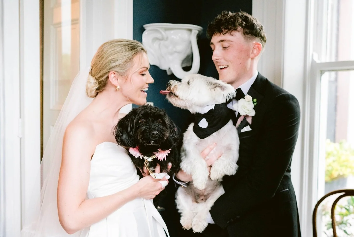 Ev, Liam and the babies 🐶🐾❤️
We had the most perfect spring wedding at Boyne Hill House - the relaxed atmosphere, outdoor ceremony, 2 gorgeous pups and so much good food! 🥂 It was perfection! 
Congratulations Evelina &amp; Liam! I will be forever 