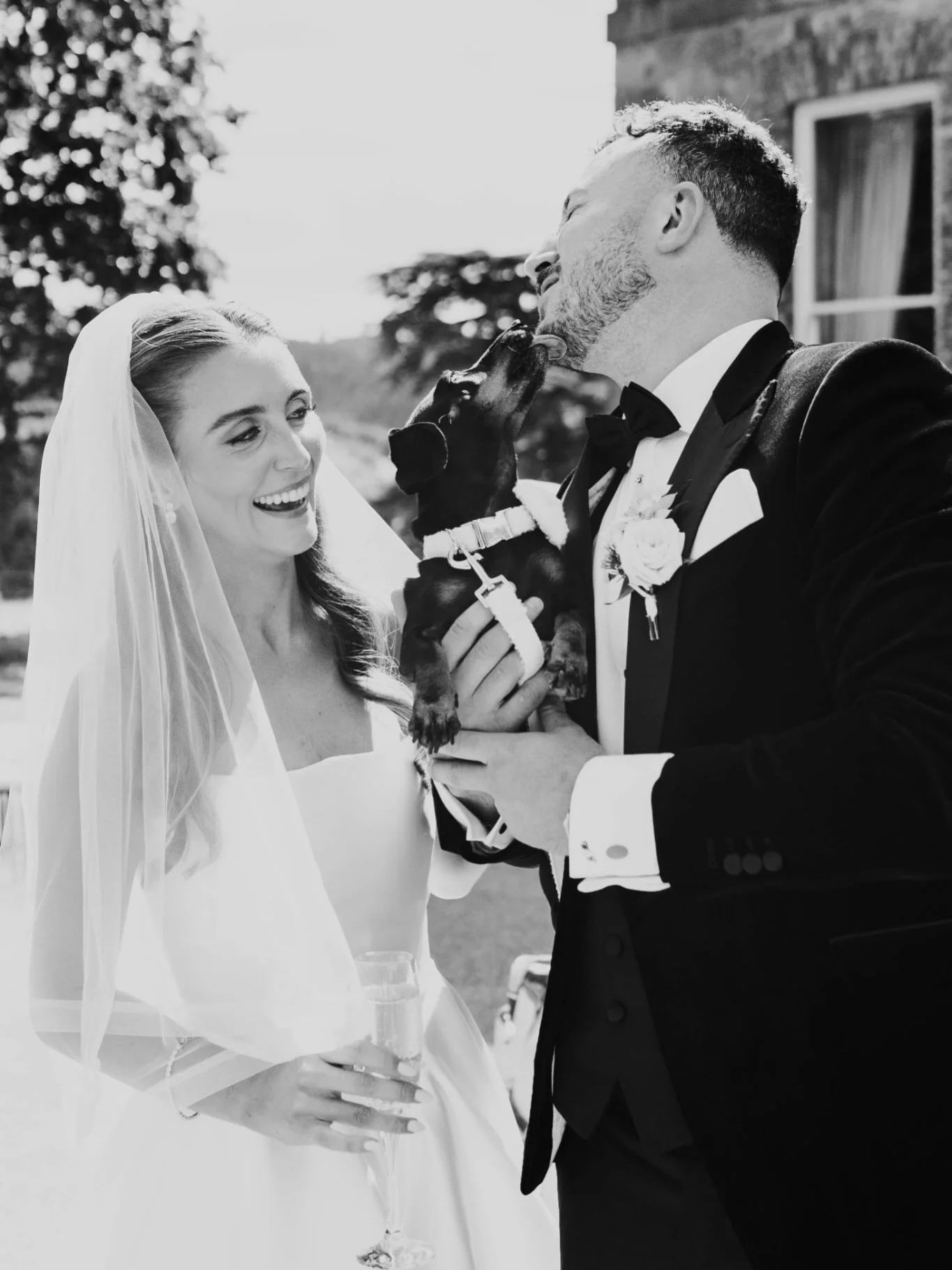 Sarah, Will &amp; Bonnie @kilshanehouse 🤍🤍

Photo - Paula @hellosugar_photography
Brides Dress - Corston Couture @corston_couture
Shop - Ivory &amp; Pearl @ivoryandpearl
Videographer -@shanepruntyfilms
Content Creator @thecontentclub.ie
Camcorder -