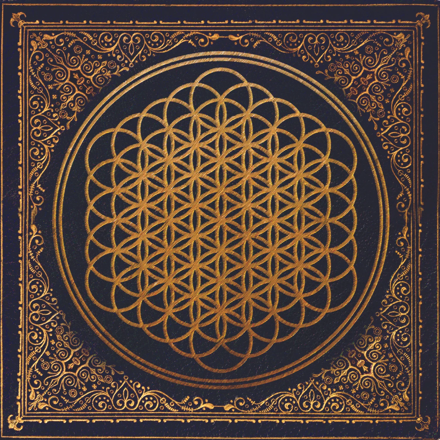 bmthpack-10386.jpg