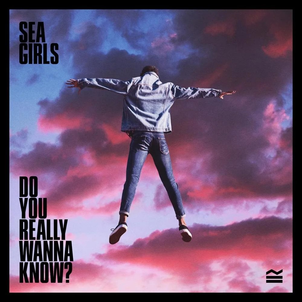 Do You Really Wanna Know.jpg