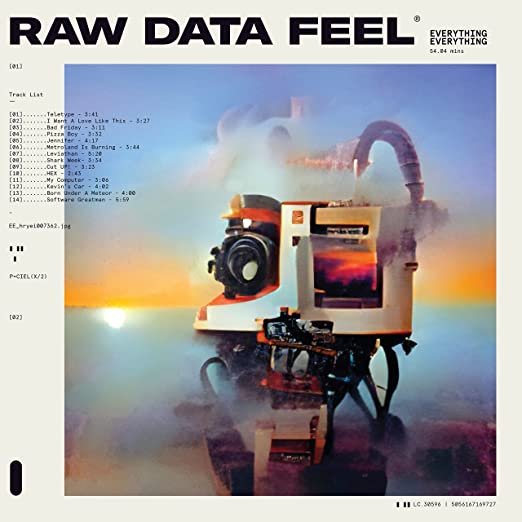 Tom A.D Fuller Raw Data Feel everything everything.jpg
