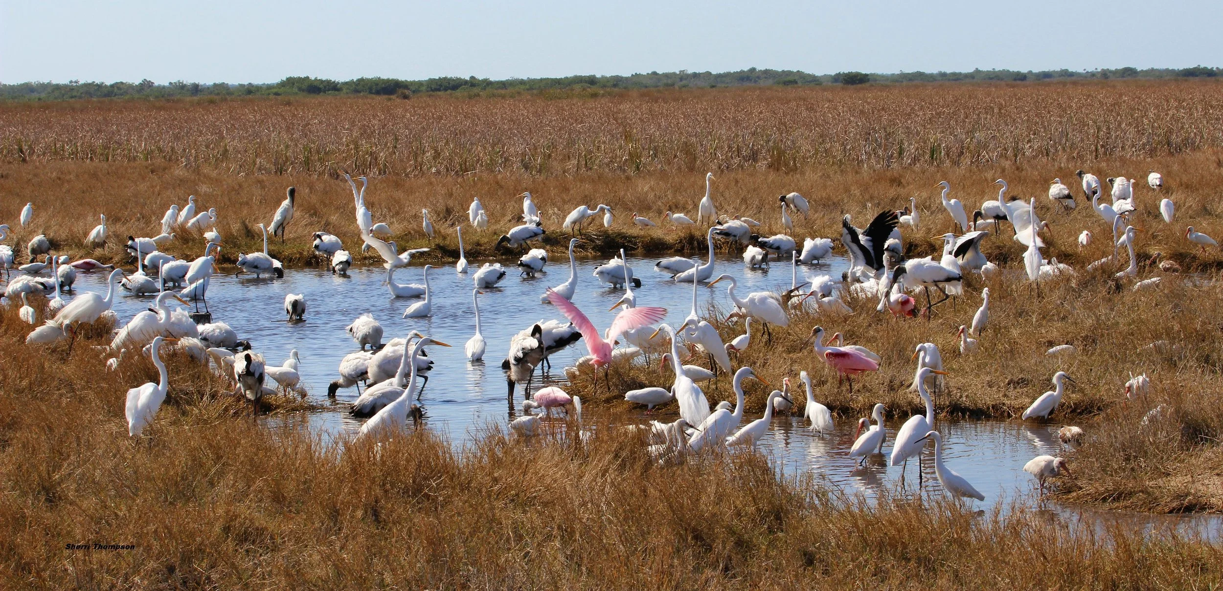 The beauty of our backyard We are by reservation only please call or e-mail to book a tour.