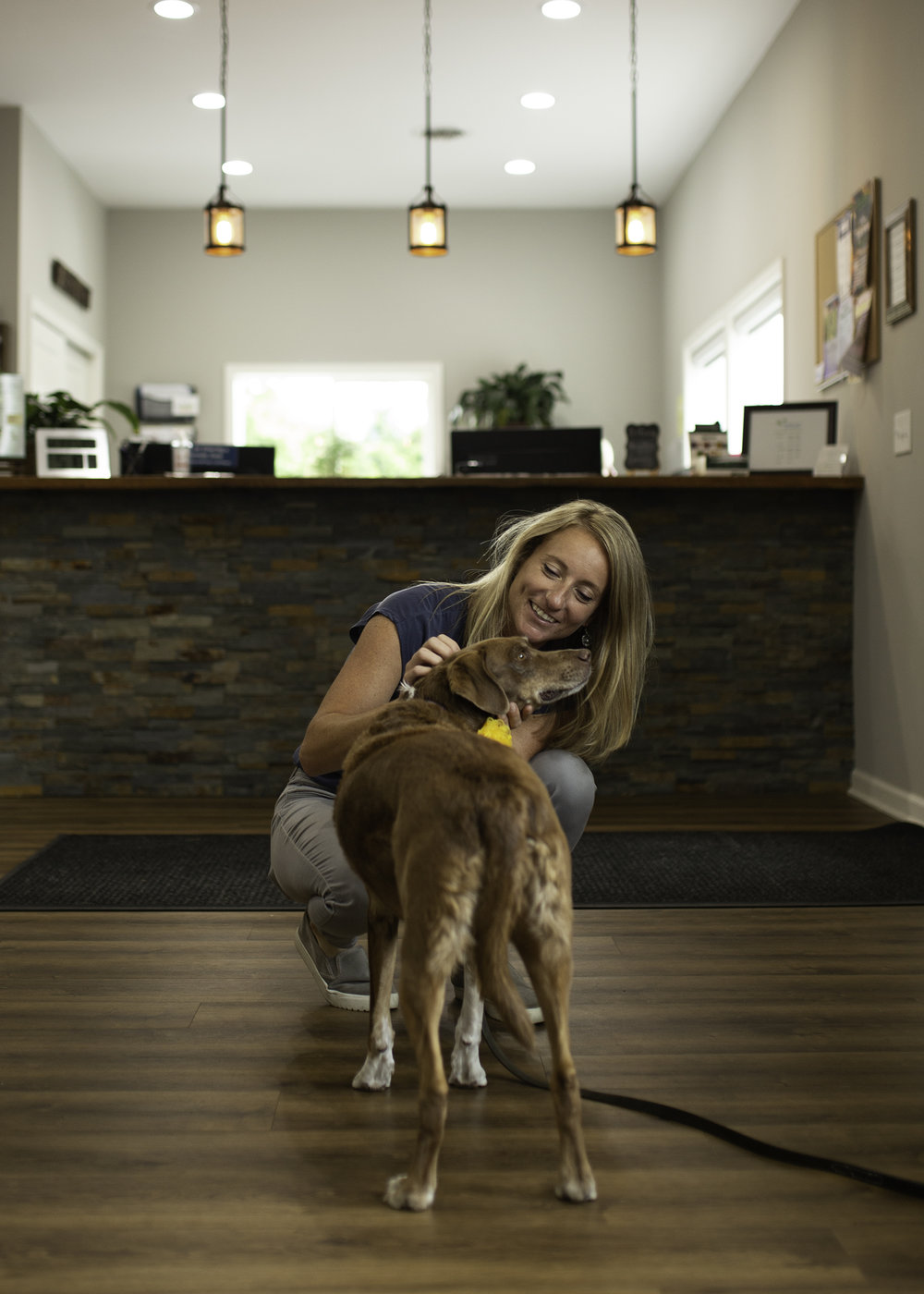 chiropractor-pets-dog-chosen-spot-erin-cunningham-photography-canandaigua-new-york.jpg