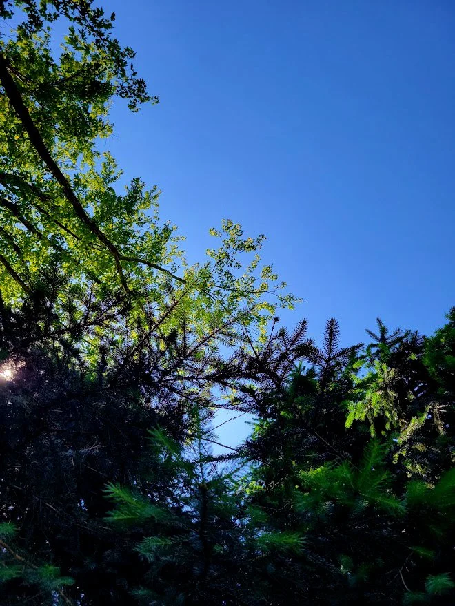 A0.jpg