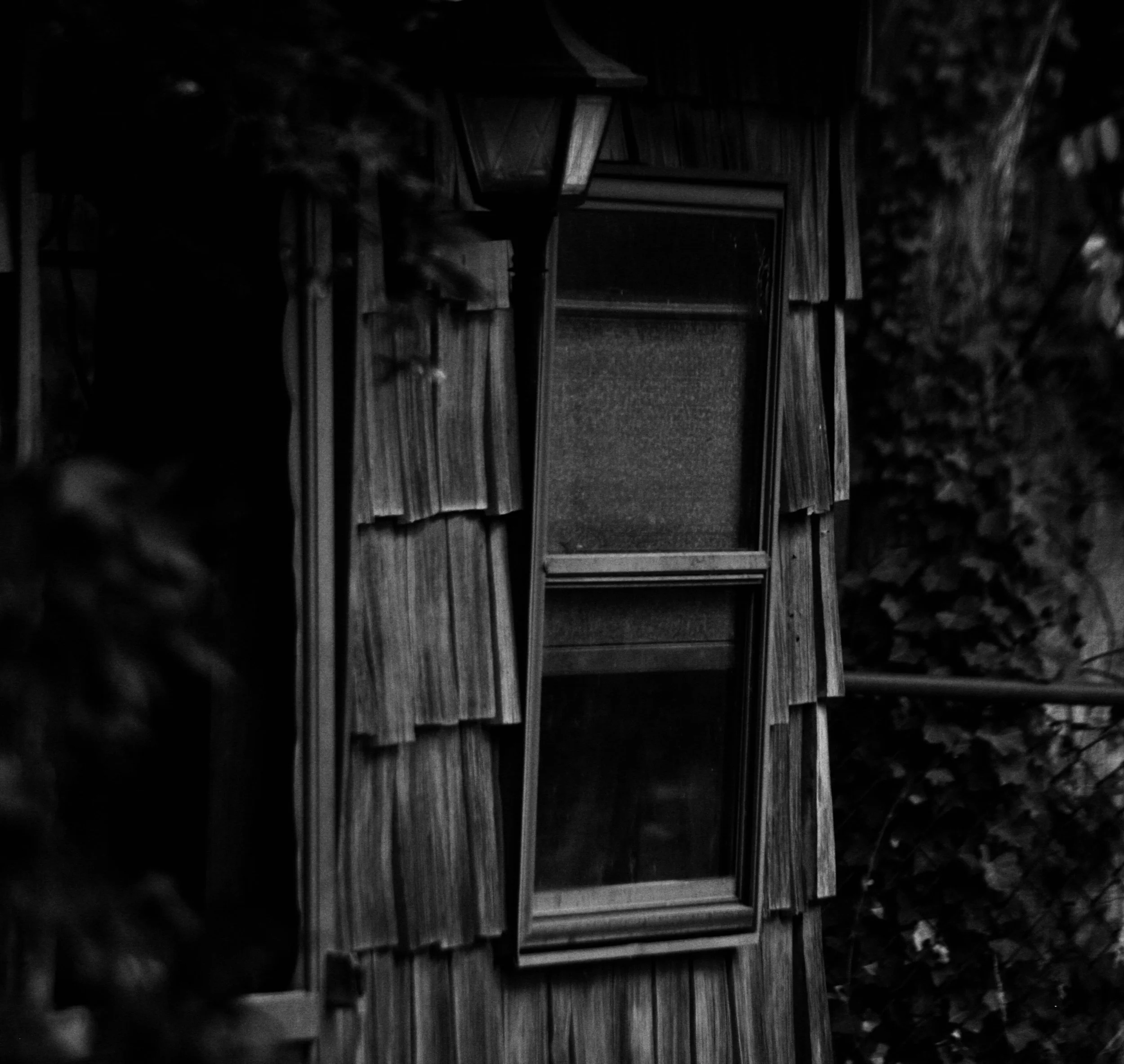 Film Noir (Jan 24, 2024 at 11_48 AM).jpg