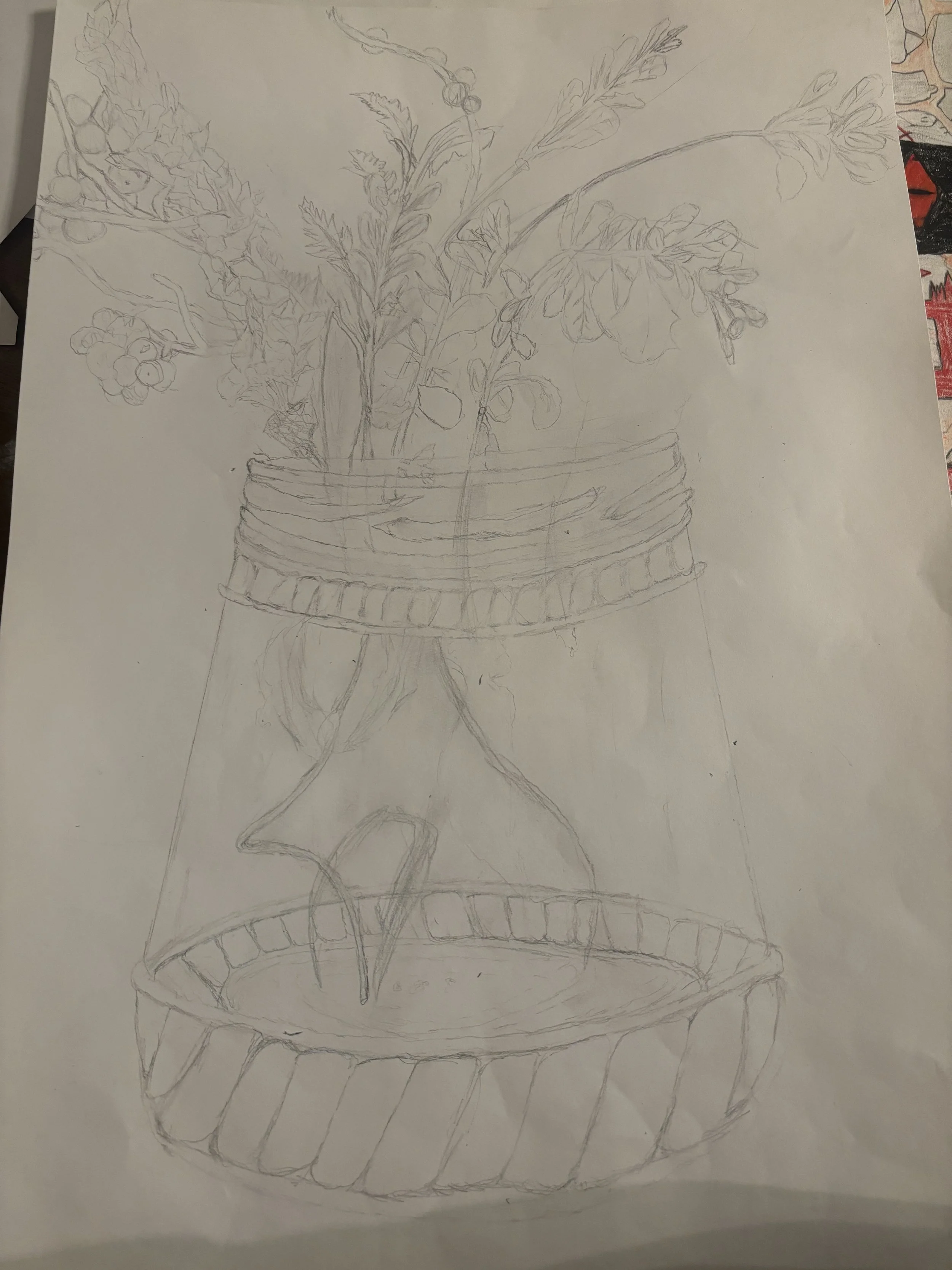 Contour Line Drawings (Jan 19, 2024 at 7_29 PM).jpg