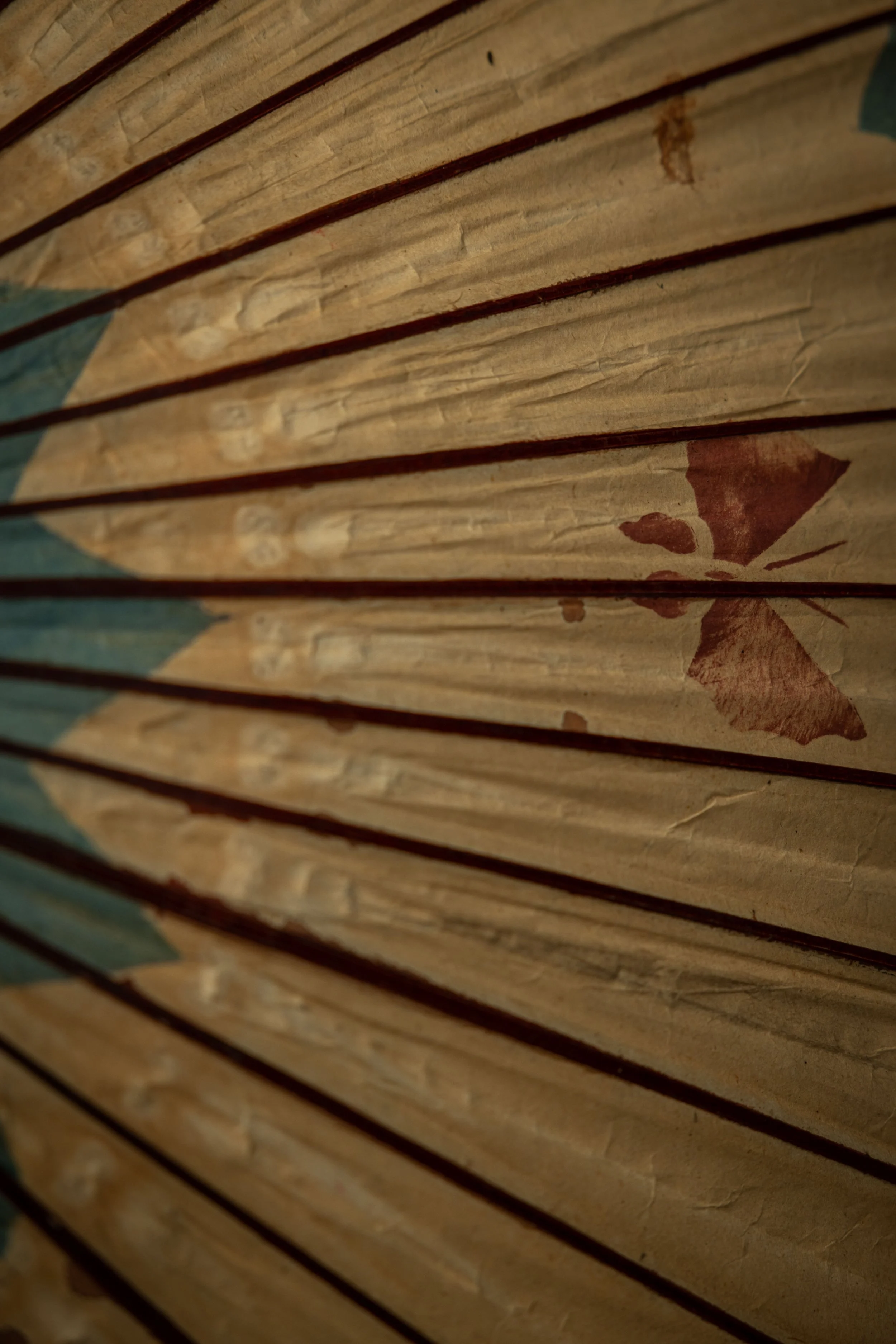 Sun shade BLU-8.jpg