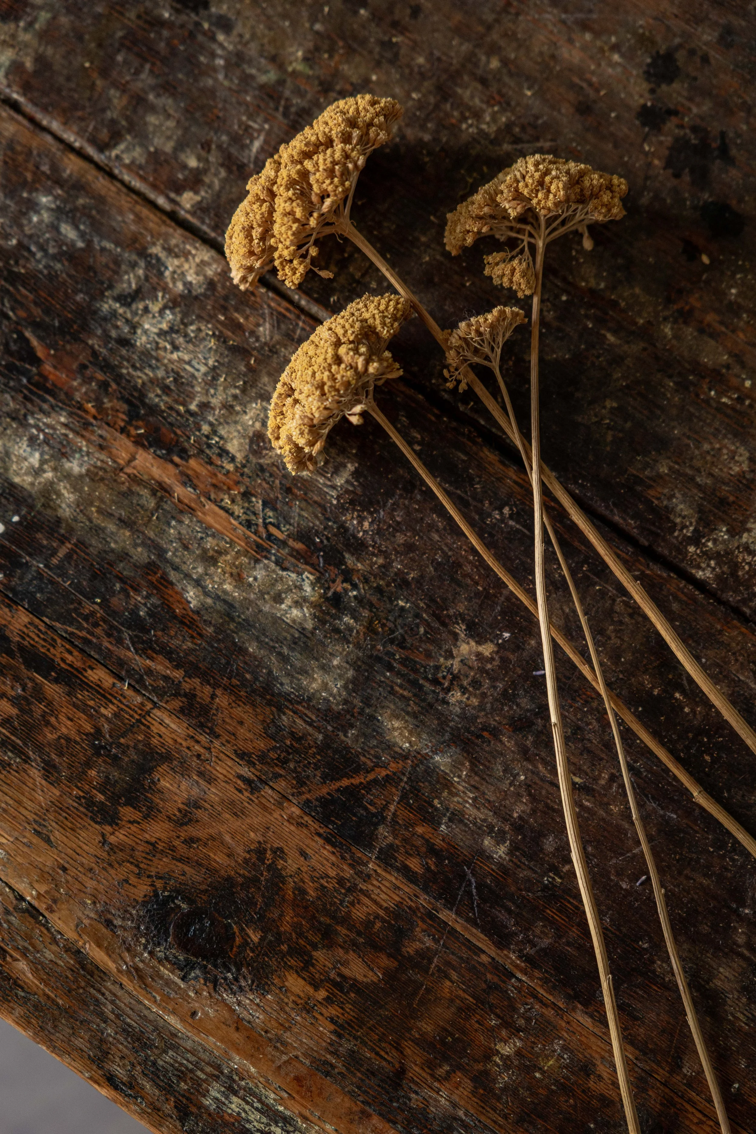 Cinematic table -6.jpg