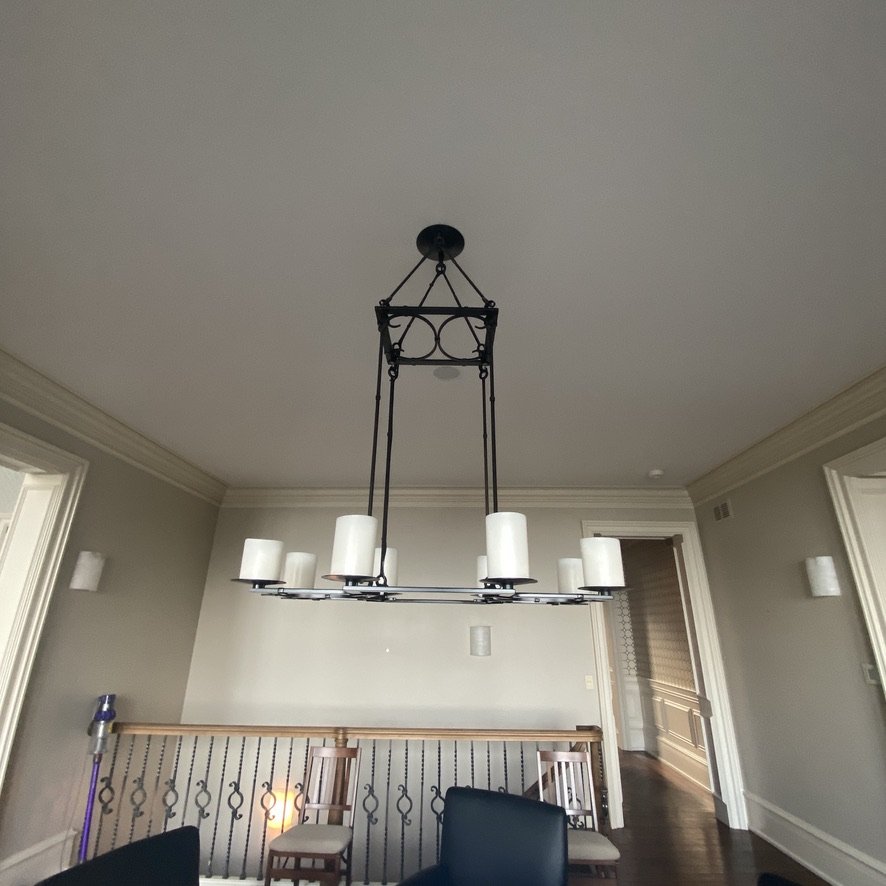 Metal Bridle Light Fixture - Kevin Reilly Collection (2).jpeg