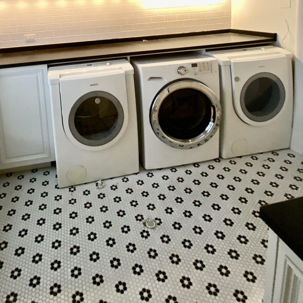 Frigidaire Washer with 2 Bosch Gas Dryers (2).jpeg