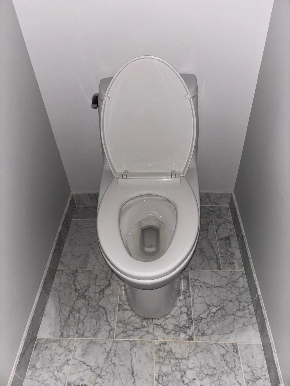 TOTO Elongated Bowl Toilets (2).jpeg