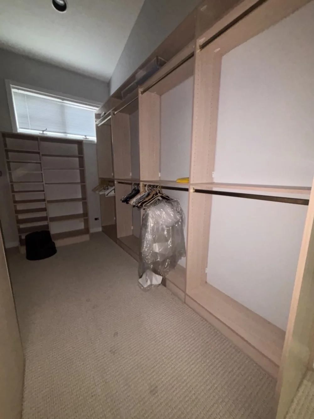 Walk In Primary Closet (1).jpeg