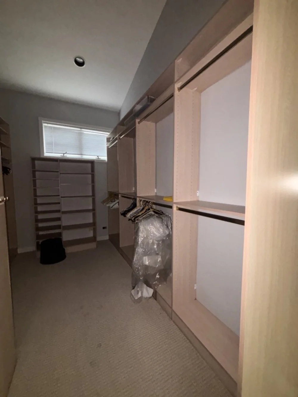 Walk In Primary Closet (2).jpeg