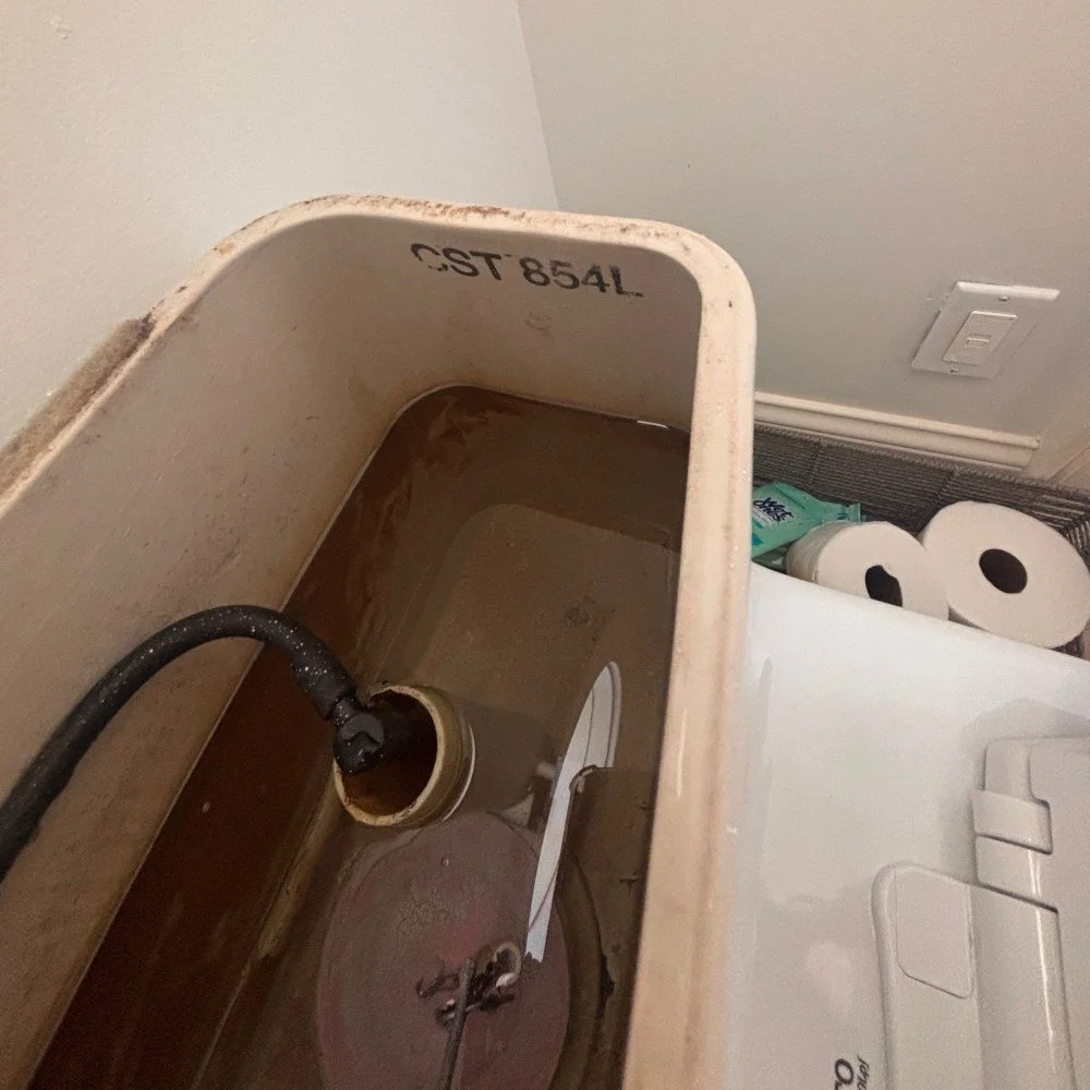 Toto CST854L “Ultimate” One-Piece Toilet (1).jpeg
